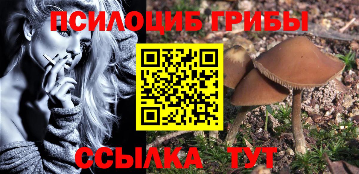 Галлюциногенные грибы Psilocybine cubensis Рассказово